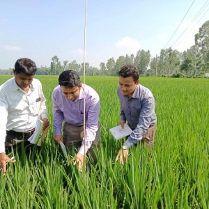 অতন্দ্র জরিপ